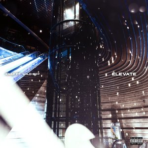 Elevate