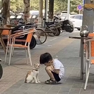 知道