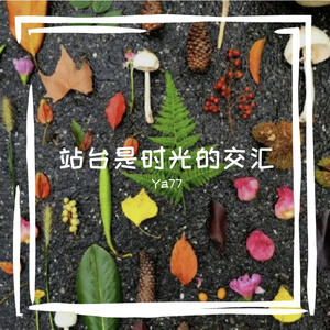 站台是时光的交汇