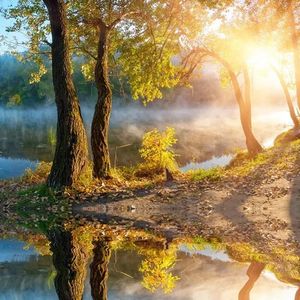 让风吹散所有的哀愁