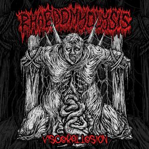 The Beauty of Decompostion (Intro)