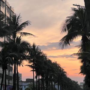 我有一个装满星星的口袋