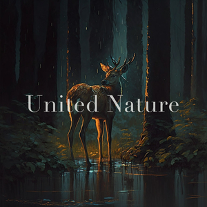 Nature's Lullabies (Rain)