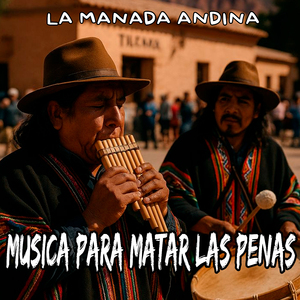 Musica para Matar las Penas
