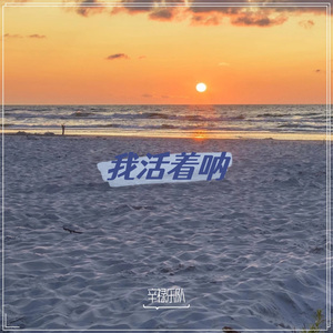 我可以假装很好