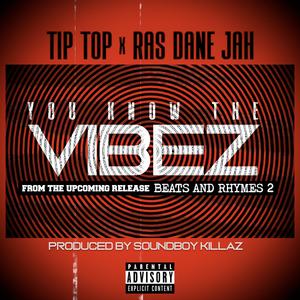 You Know The Vibez (feat. Ras Dane Jah)