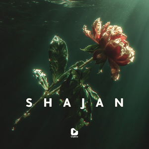 SHAJAN