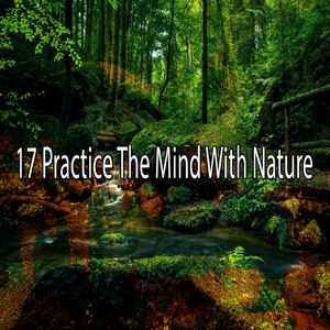 在自然奇觀的世界