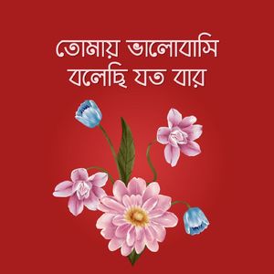 তোমায় ভালোবাসি বলেছি যত বার