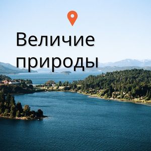 Туманный лес