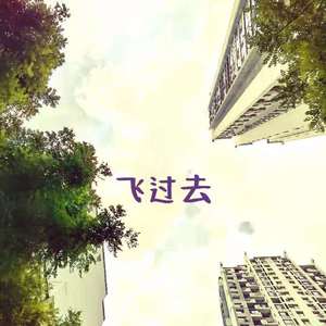 飞过去