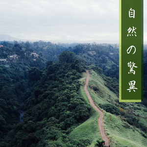 破壊する、そして構築する（寝る）