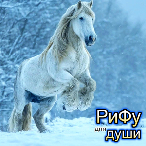 Сивый конь