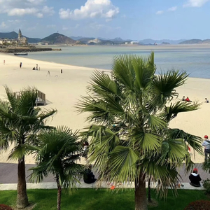 刘大拿-中心地带（Isitet remix）