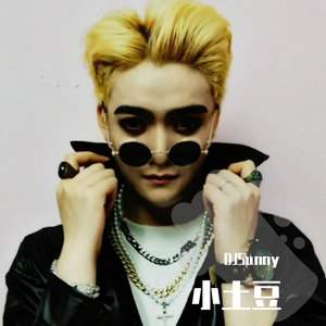 Zedd-Beautiful Now (djsunny)（DJSunny remix）