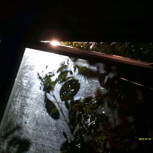 Contradictions（8D）（Reisu remix）