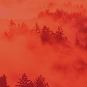 柔和的温泉时刻