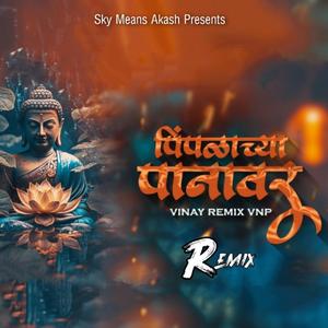 Pimpalachya Panavar (feat. Anand shinde) (Chillout Remix)