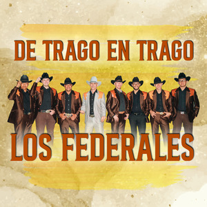 Amigo Ileal