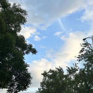 WALLOW（阿穆尔的铅箭）