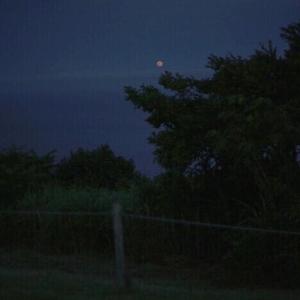 ‘免费’丨Hate（Prod by UNIVERSE 444）