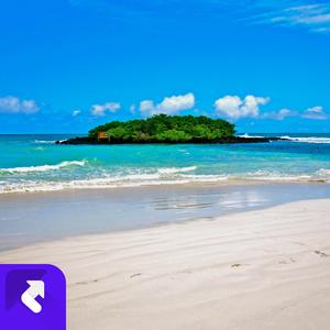 二泉映月 (现场)