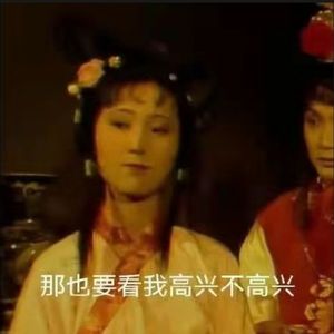 天上掉下个林妹妹