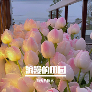 浪漫的田园 伴奏