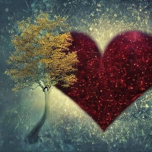 你是我的眼 (Live)