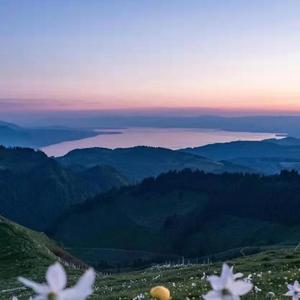 知否知否（钢琴版 小只老师 remix）