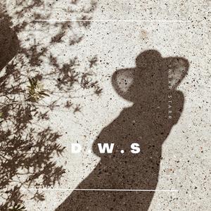 D W S