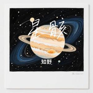 星骸