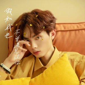 假如我也不曾遇见过你