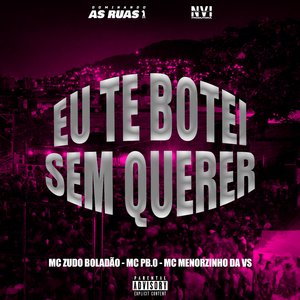 Eu Te Botei Sem Querer (feat. DJ LEEH SILVA)