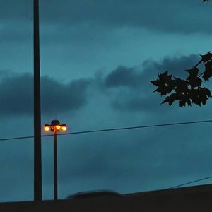 秋日 落叶 树根