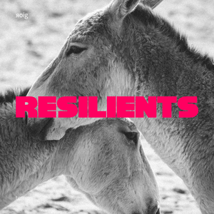 Resilients