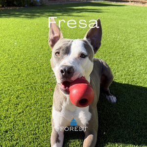 Fresa