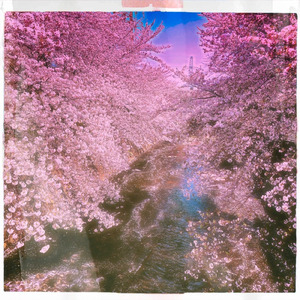 ファンデルサール