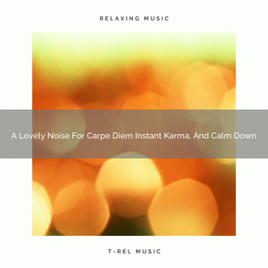 A Lovely Noise For Carpe Diem Instant Karma