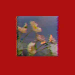 鸽子血(prod.by Canty)