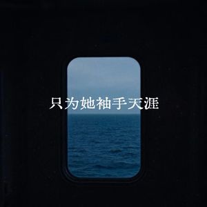 只为她袖手天涯