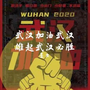 武汉加油，武汉必胜（prod by Vikingar）