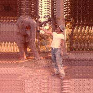 Sunbather (feat. A.O. Gerber)