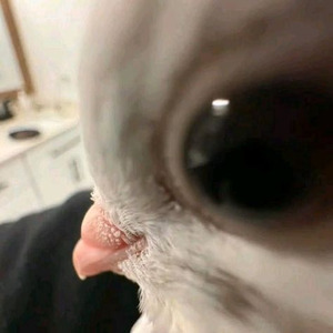 If It Ain't me (slowed)