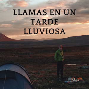 Sencillo Rincón Junto A La Chimenea