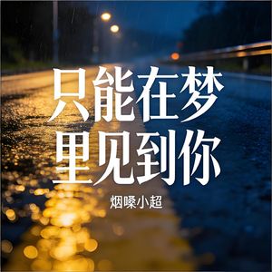 只能在梦里见到你