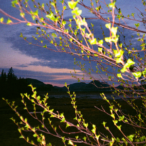 Serre moi dans tes bras (Simili Gum Remix)