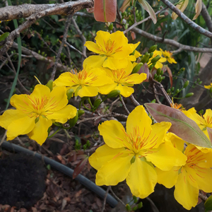 Take My Hand My Love