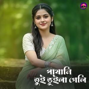 পাষানি তুই ভূইলা গেলি