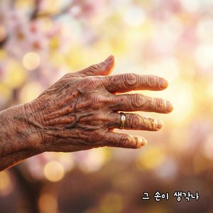 카네이션의 진심